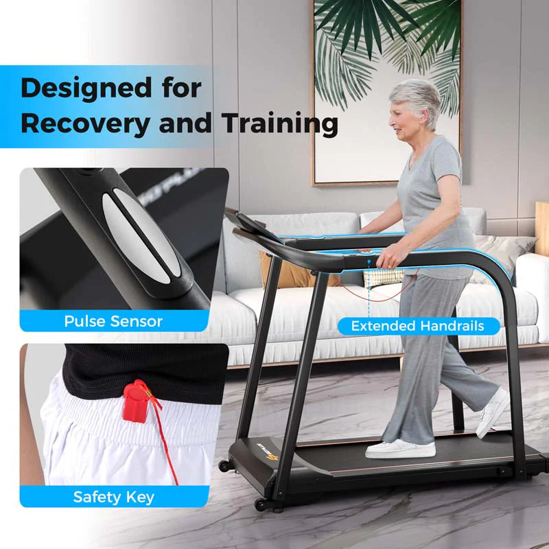 Walking Treadmill For Seniors With Long Handrails, 2.5 HP, 300 lbs Capacity, Black