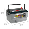 EverStart Platinum AGM Automotive Battery, Group Size 65, 12 Volt, 750 CCA