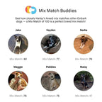 Embark Dog DNA Breed Identification Test Kit With Doggy Relative Finder