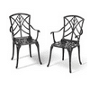 NUU GARDEN Cast Aluminum Outdoor Patio Bistro Dining Chairs, Set Of 2, Black With Gold-Painted Edge