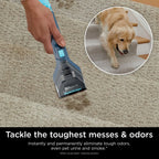 Shark StainStriker Portable Carpet And Upholstery Cleaner With 2 Tools, 6oz And 12oz Formulas - PX200 Navy/White