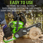 Greenworks 40V 12 in Cordless Chainsaw With 2.0 Ah Battery And Charger - 20262