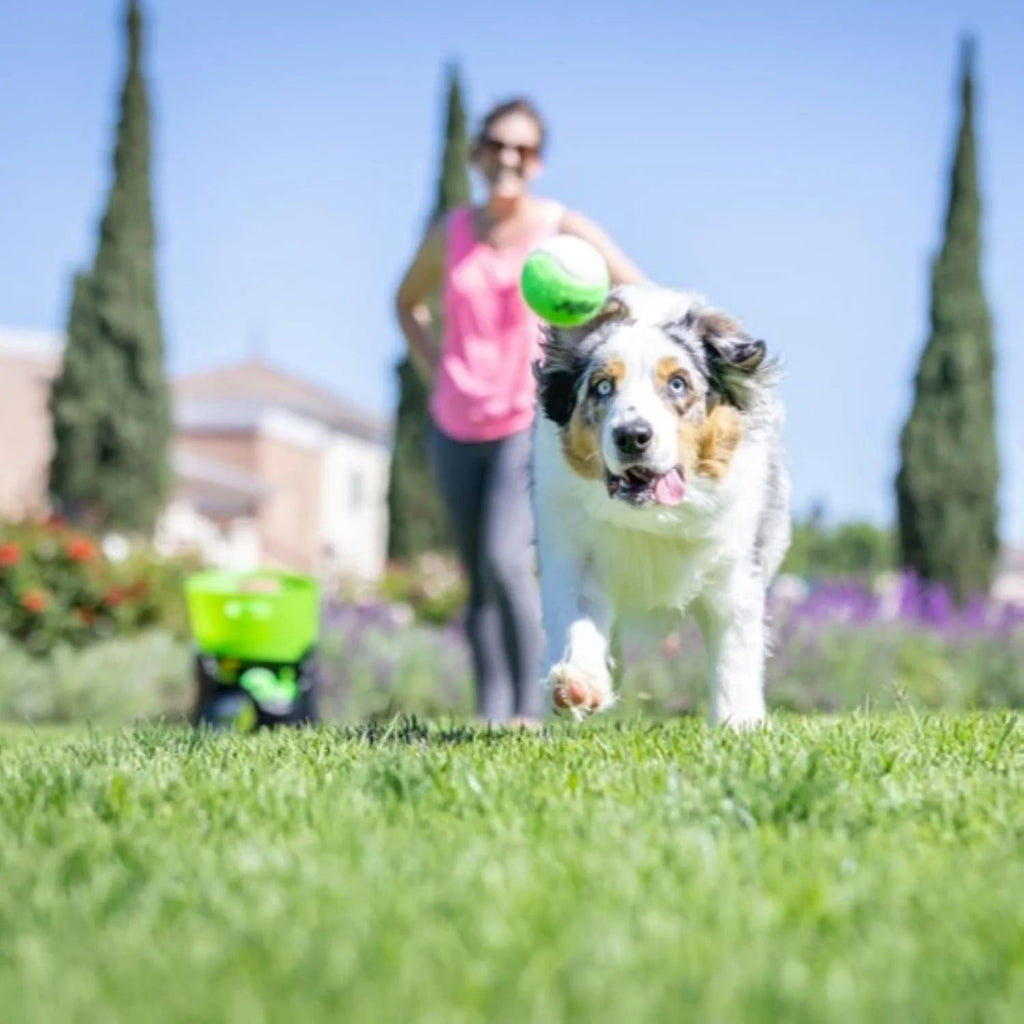 Hyper Pet Automatic Dog Ball Launcher With 5 Balls, Green/Black - GoDogGo