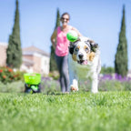 Hyper Pet Automatic Dog Ball Launcher With 5 Balls, Green/Black - GoDogGo