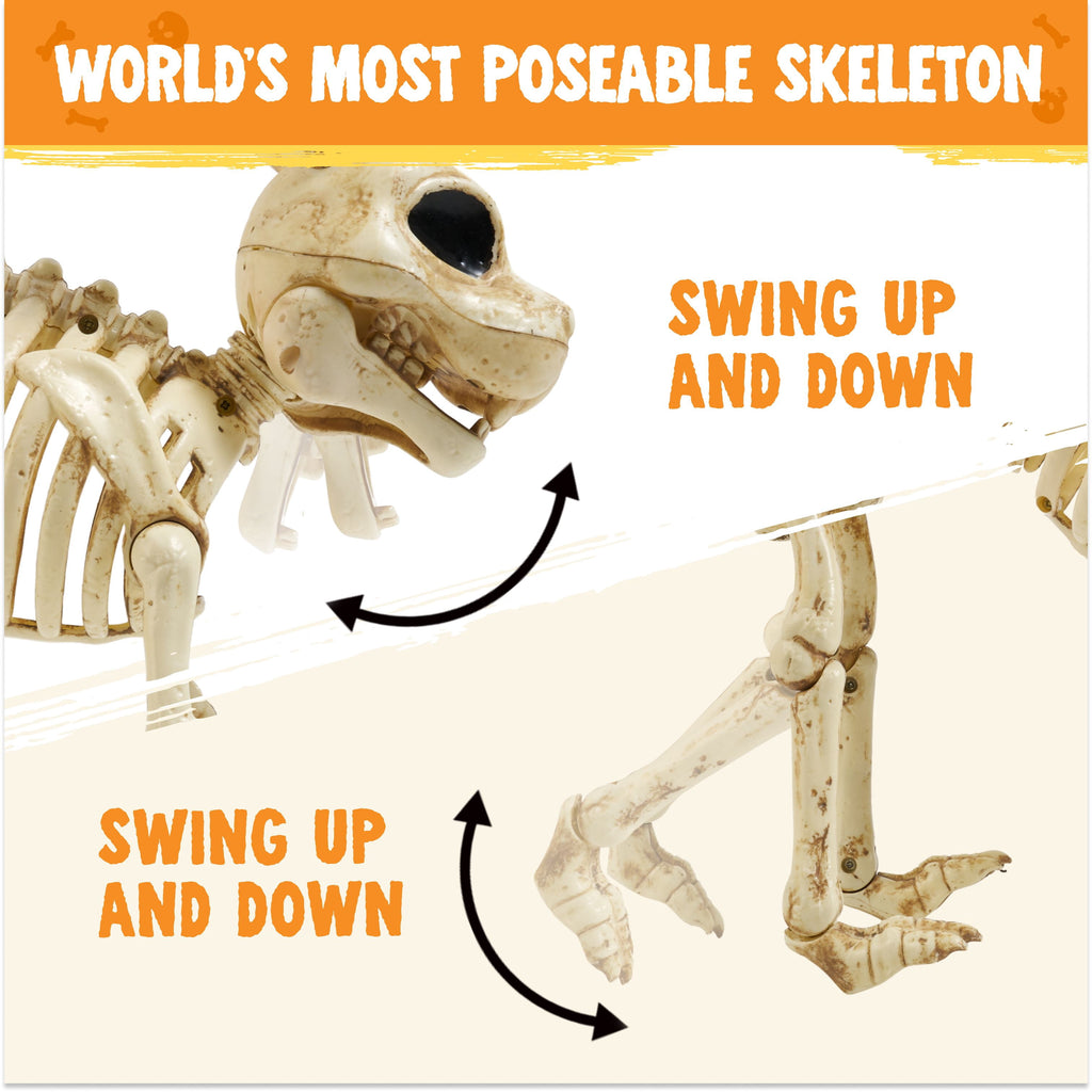 Joyfy Rabbit Skeleton
