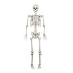 Costway 5.4 FT Halloween Skeleton Decoration Life Size Large Skeleton with Posable Joints 64.5 Inches Ivory White
