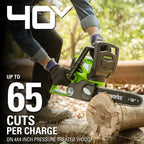 Greenworks 40V 12 in Cordless Chainsaw With 2.0 Ah Battery And Charger - 20262