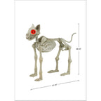 Way To Celebrate Animated Skeleton Cat Halloween Decoration, Beige, 60 in