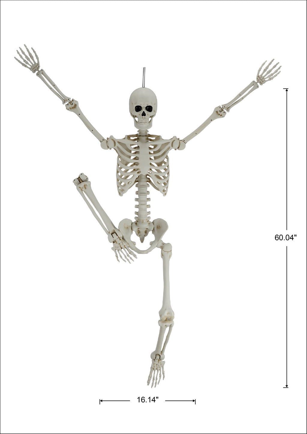 Hanging Posable Skeleton Decoration, White, 5', Halloween by Way To Celebrate