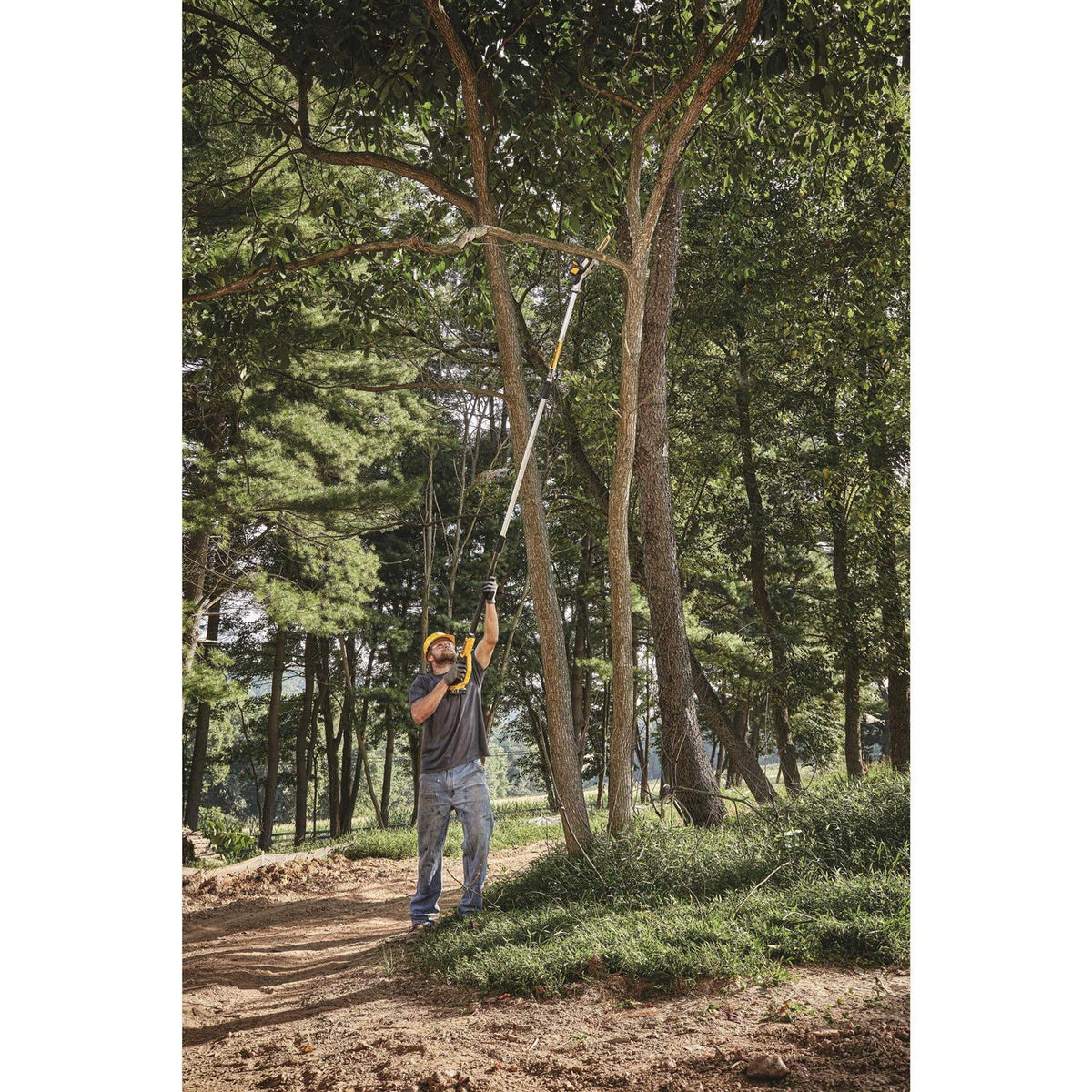 Dewalt 20V MAX Cordless Pole Saw And Pole Hedge Trimmer Combo Kit, 8 in Bar - DCKO86M1 (DCPS620/DCPH820)